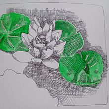 Water Lily Pen and Ink Study . Ilustrație tradițională, Schițe, Desen, Caiet de schițe & Ilustrație cu cerneală de kathrin99999 - 05.18.2022
