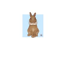 Bunny. Traditional illustration, Creativit, and Drawing project by Marta Muñoz - 05.17.2022