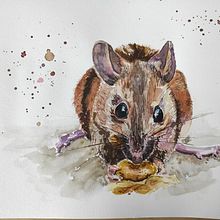 My project for course: Expressive Animal Portraits in Watercolor. Traditional illustration, Watercolor Painting, Realistic Drawing, and Naturalistic Illustration project by Ingrid Fürhacker - 05.19.2022