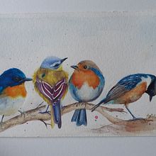 Gli uccelli di Sarah stokes. Traditional illustration project by mariellambrosini - 05.16.2022