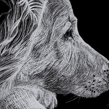 Hollie. Digital Illustration, Traditional illustration, Digital Drawing, Drawing, and Realistic Drawing project by Shannon Carter - 05.18.2022