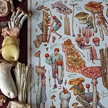 The Fungi Compendium Ein Projekt aus dem Bereich Traditionelle Illustration und Aquarellmalerei von Marija Tiurina - 20.05.2022