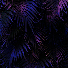 3D leaves stock images. Un progetto di Design, 3D, Modellazione 3D e Progettazione 3D di Jose Damian Orozco Borrego - 20.05.2022