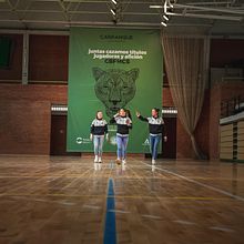 SOMOS PANTERAS. LA VUELTA A CARRANQUE DEL BALONMANO MÁLAGA COSTA DEL SOL Ein Projekt aus dem Bereich Traditionelle Illustration, Design und Grafikdesign von DIKA estudio - 17.05.2022