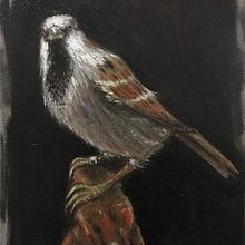 My project for course: Classical Oil Painting for Naturalist Bird Portraiture. Un proyecto de Bellas Artes, Pintura, Pintura al óleo e Ilustración naturalista				 de willie jimenez - 20.05.2022