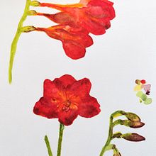 Il mio progetto del corso: Illustrazione botanica con acquerello. Traditional illustration, Fine Arts, Painting, Drawing, Watercolor Painting, and Botanical Illustration project by astrattalab - 05.20.2022