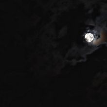 Mi proyecto del curso: Fotografía para principiantes: bases técnicas profesionales. Projekt z dziedziny Fotografia, Fotografia c, frowa, Fotografia art, st, czna,  Kompoz i cja w fotografii użytkownika Kristhel Orellana Vicuña - 21.05.2022