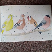 My project for course: Artistic Watercolor Techniques for Illustrating Birds. Traditional illustration, Watercolor Painting, Realistic Drawing, and Naturalistic Illustration project by helen2022 - 05.20.2022