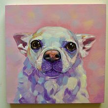 Cloe The Chihuahua . Artes plásticas projeto de Miriam Sansano - 22.05.2022