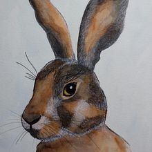 Mi proyecto del curso: Técnicas experimentales de acuarela para principiantes. Traditional illustration, Fine Arts, Watercolor Painting, and Naturalistic Illustration project by Julia Raggio - 06.13.2022