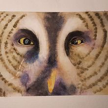 Bird is watching. Un proyecto de Pintura a la acuarela y Dibujo de Retrato de Petra Köster - 23.05.2022