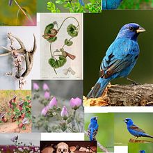 Mi proyecto del curso: Ilustración naturalista con bolígrafo. Traditional illustration, Drawing, Realistic Drawing, and Naturalistic Illustration project by Enrique Villegas Gomez - 05.25.2022