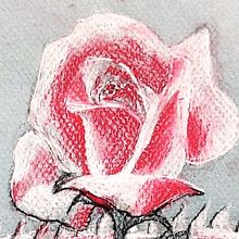 CA - Cartel Sant Jordi DIIYS (do it in your style). Traditional illustration, Fine Arts, and Painting project by Martina Díaz Vilar - 05.25.2022