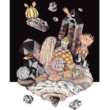 MOUNTOPIA - Solo exhibition shown in Switzerland and Germany. Traditional illustration, Painting, Watercolor Painting, Pencil Drawing, Colored Pencil Drawing, Gouache Painting, Decorative Painting, Botanical Illustration, Fine Arts, and Naturalistic Illustration project by Rommygon ☻ - 05.25.2022