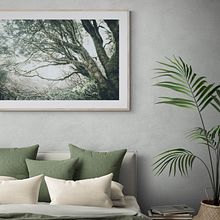 FOTOS ARTISTICAS DE TENERIFE PARA DECORACION DE INTERIORES. Un proyecto de Fotografía de Raico Rosenberg - 25.05.2022