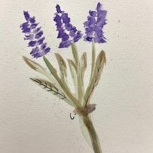 TEG: dibujo con acuarelas. Een project van Aquarelschilderen van Carla Villamana - 25.05.2022
