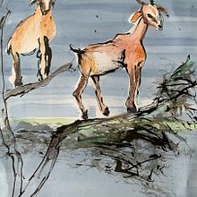 Mein Kursprojekt: Natur-Illustration: Eine kreative Erkundungsreise. Traditional illustration, Painting, Drawing, Watercolor Painting, Ink Illustration, and Naturalistic Illustration project by Helma Wunderlich - 05.27.2022