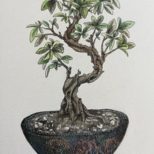 Mój projekt z kursu: Szkicownik botaniczny: ilustracja jako sztuka medytacji. Projekt z dziedziny Trad, c, jna ilustracja, Sketching,  R, sunek, Malowanie akwarelą, R, sunek botaniczn i Sketchbook użytkownika triceraton - 27.05.2022