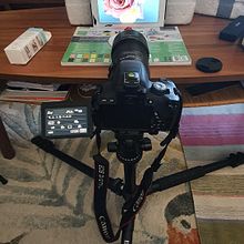Meu projeto do curso: Introdução à fotografia macro Ein Projekt aus dem Bereich Fotografie, Produktfotografie, Studiofotografie und Digitalfotografie von António Manuel Pereira - 27.05.2022