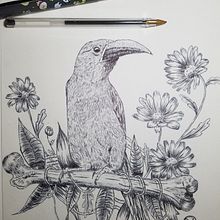 Mon projet du cours : Illustration naturaliste au stylo. Traditional illustration, Drawing, Realistic Drawing, and Naturalistic Illustration project by marie billebeau - 05.27.2022