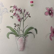 My project for course: Botanical Watercolor Sketchbook. Un proyecto de Ilustración tradicional, Pintura a la acuarela, Ilustración botánica y Sketchbook de Cecilia Gustavsson - 28.05.2022