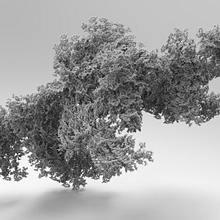 AGGREGATION, Venice Biennale. Un proyecto de Diseño, Ilustración tradicional y Paisajismo de Chantal Matar - 28.05.2022