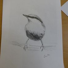  Artistic Watercolor Techniques for Illustrating Birds, my 1st drawing, understanding tonal values. Un proyecto de Ilustración tradicional de Anita Peach - 27.05.2022