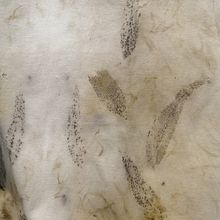 Mi proyecto del curso: Impresión botánica en textil y papel. Un progetto di Artigianato, Fashion design, DIY, Tintura tessile, Stampa tessile e Textile Design di Garfias Maria - 30.05.2022