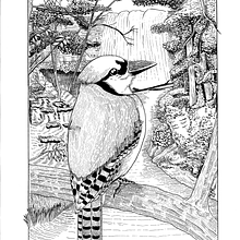 Mi proyecto del curso: Ilustración con tinta y plumilla: captura el mundo natural. Esboçado, Desenho, Desenho artístico, Sketchbook, Ilustração com tinta e Ilustração naturalista projeto de Alejandro Arturo Villeda Vázquez - 01.06.2022