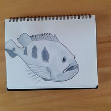 My project for course: Daily Sketching for Creative Inspiration. Traditional illustration, Sketching, Creativit, Drawing, and Sketchbook project by helen2022 - 05.30.2022