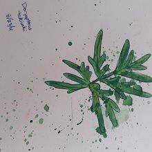 Doryopterus takeuchii. Un projet de Peinture de Cassandra Springer - 31.05.2022