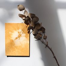 Encuadernaciones Sostenibles Ein Projekt aus dem Bereich H, werk und Buchbinderei von Carolinda Primus - 31.05.2022