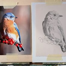 Il mio progetto del corso: Pittura a olio classica per ritratti naturalistici di uccelli. Fine Arts, Painting, Oil Painting, and Naturalistic Illustration project by Daniela Guarriello - 05.30.2022