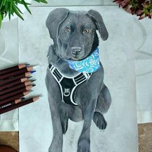 Tierporträt für meine Nachbarin. Traditional illustration, Painting, Drawing, Creativit, Portrait Drawing, and Realistic Drawing project by Jennifer Dümler - 05.29.2022