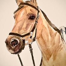 Horse Paintings. Pintura em aquarela projeto de Kianna Scott - 31.05.2022