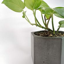 Mi proyecto del curso: Creación de muebles en concreto para principiantes. Projekt z dziedziny Craft, Projektowanie i w, rób mebli, Projektowanie wnętrz, Dekoracja wnętrz i DIY użytkownika Melissa lopez - 02.06.2022