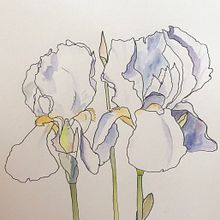 Mon projet du cours : Carnet de croquis botanique : une approche méditative. Traditional illustration, Sketching, Drawing, Watercolor Painting, Botanical Illustration, and Sketchbook project by Ольга Опанасенко - 06.03.2022