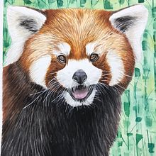 Meu projeto do curso: Retratos expressivos de animais em aquarela. Ilustração tradicional, Pintura em aquarela, Desenho realista e Ilustração naturalista projeto de CAMILA OLIVEIRA - 04.06.2022