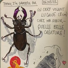 Follow up n°6 to "Illustrated Life Journal: A Daily Mindful Practice" : May. Traditional illustration, Stor, telling, Sketchbook, Drawing, and Narrative project by Stig Legrand - 06.04.2022