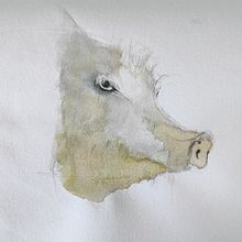 My project for course: Creative Watercolor Sketching for Beginners. Traditional illustration, Sketching, Creativit, Drawing, Watercolor Painting, and Sketchbook project by Tehila Bar - 06.05.2022