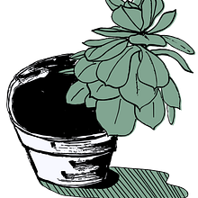 Cacti. Traditional illustration project by Rachael Kay - 06.05.2022