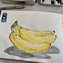 Mein Kursprojekt: Botanische Illustration: vom Skizzenbuch zum Druck Ein Projekt aus dem Bereich Traditionelle Illustration, Skizzenentwurf, Zeichnung, Botanische Illustration, Sketchbook und Illustration mit Tinte von Beate Heinzelmann - 05.06.2022