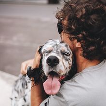 Mi proyecto del curso: Fotografía lifestyle de perros. Un progetto di Fotografia, Fotografia di ritratto, Fotografia per Instagram, Fotografia documentaria, Fotografia lifest e le di Alma Glez - 06.06.2022