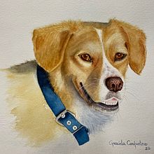 Pepe. Projekt z dziedziny Malowanie akwarelą, Trad, c, jna ilustracja, R, sunek realist, czn, Ilustracja naturalist i czna użytkownika Graciela Carpintero - 06.06.2022