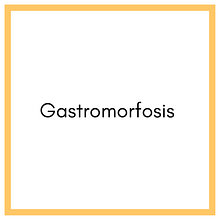 Gastromorfosis . Podcasting, Dan Fotografi Makanan proyek oleh Santiago Torres Z - 06.07.2022