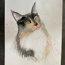 Mein Kursprojekt: Ausdrucksstarke Tierporträts in Aquarell. Traditional illustration, Watercolor Painting, Realistic Drawing, and Naturalistic Illustration project by nadinekarker - 06.07.2022