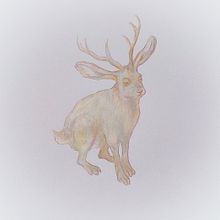 My project for course: Surrealist Illustration Inspired by Nature. Traditional illustration, Pencil Drawing, Drawing, Artistic Drawing, Naturalistic Illustration, and Colored Pencil Drawing project by Tehila Bar - 06.07.2022
