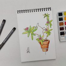 Mi proyecto del curso: Sketchbook botánico: una aproximación meditativa. Un proyecto de Ilustración tradicional, Bocetado, Dibujo, Pintura a la acuarela, Ilustración botánica y Sketchbook de Leonardo Meza - 07.06.2022