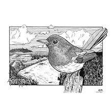 Mi proyecto del curso: Ilustración con tinta y plumilla: captura el mundo natural. Projekt z dziedziny Sketching,  R, sunek,  R, sunek art, st, czn, Sketchbook,  R, sunek atramentem, Ilustracja naturalist i czna użytkownika Carol Camu - 08.06.2022