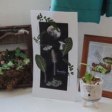 Mi proyecto del curso: Técnicas básicas de prensado botánico. Arts, Crafts, Fine Arts, Collage, DIY, Floral, and Plant Design project by Mariana León - 06.08.2022